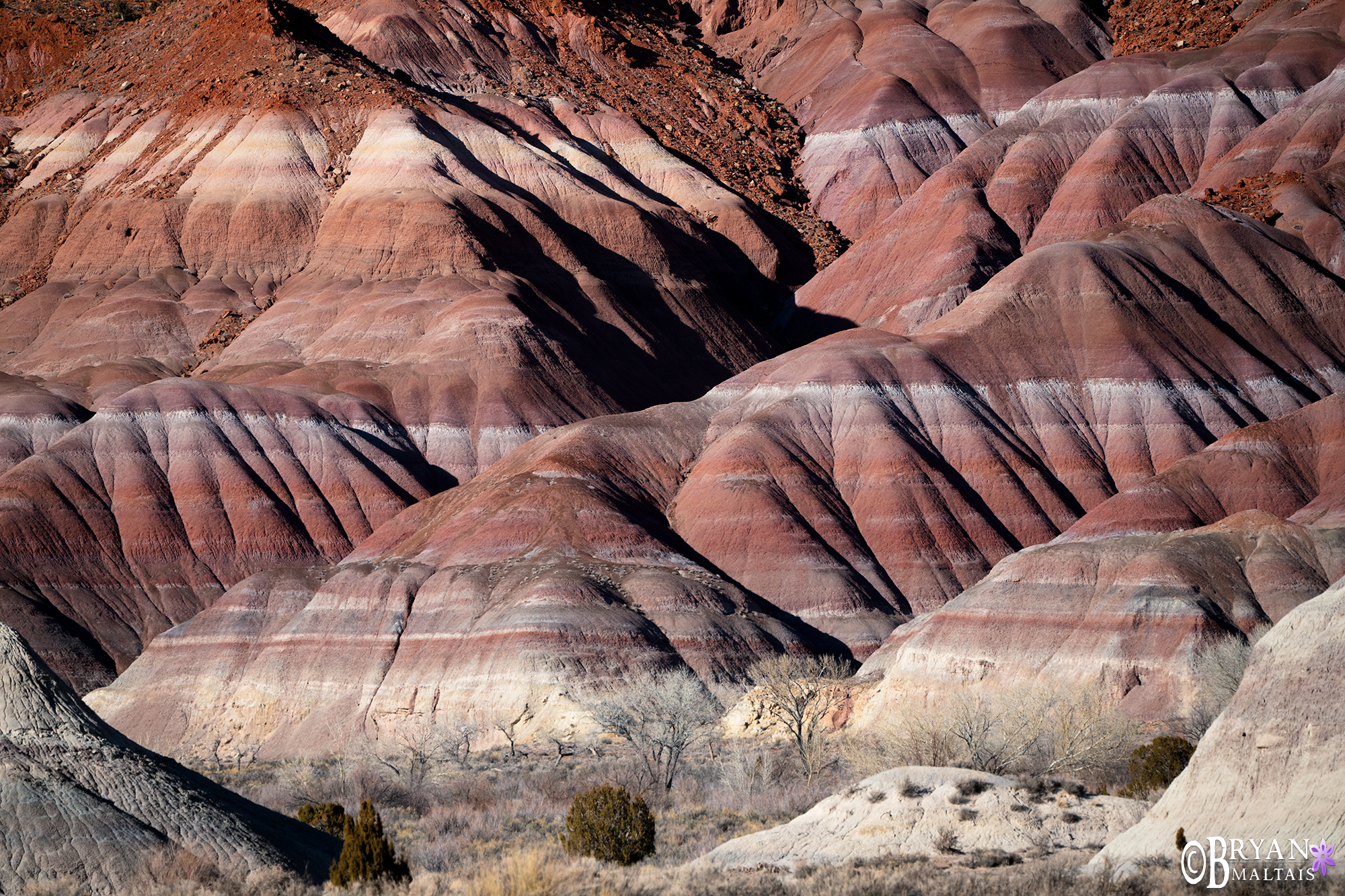 rainbow hills escalante grand staircase kanab utah