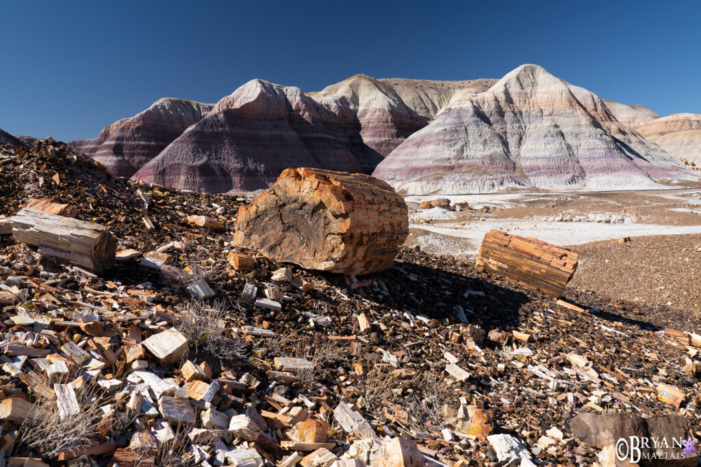 petrified forest national park wood shards and hills