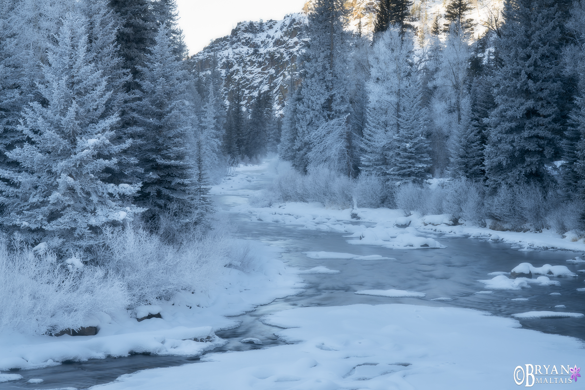 taylor river colorado winter