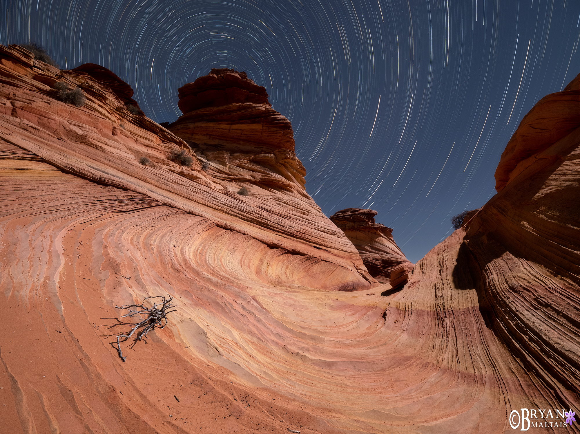 the wave star trails arizona