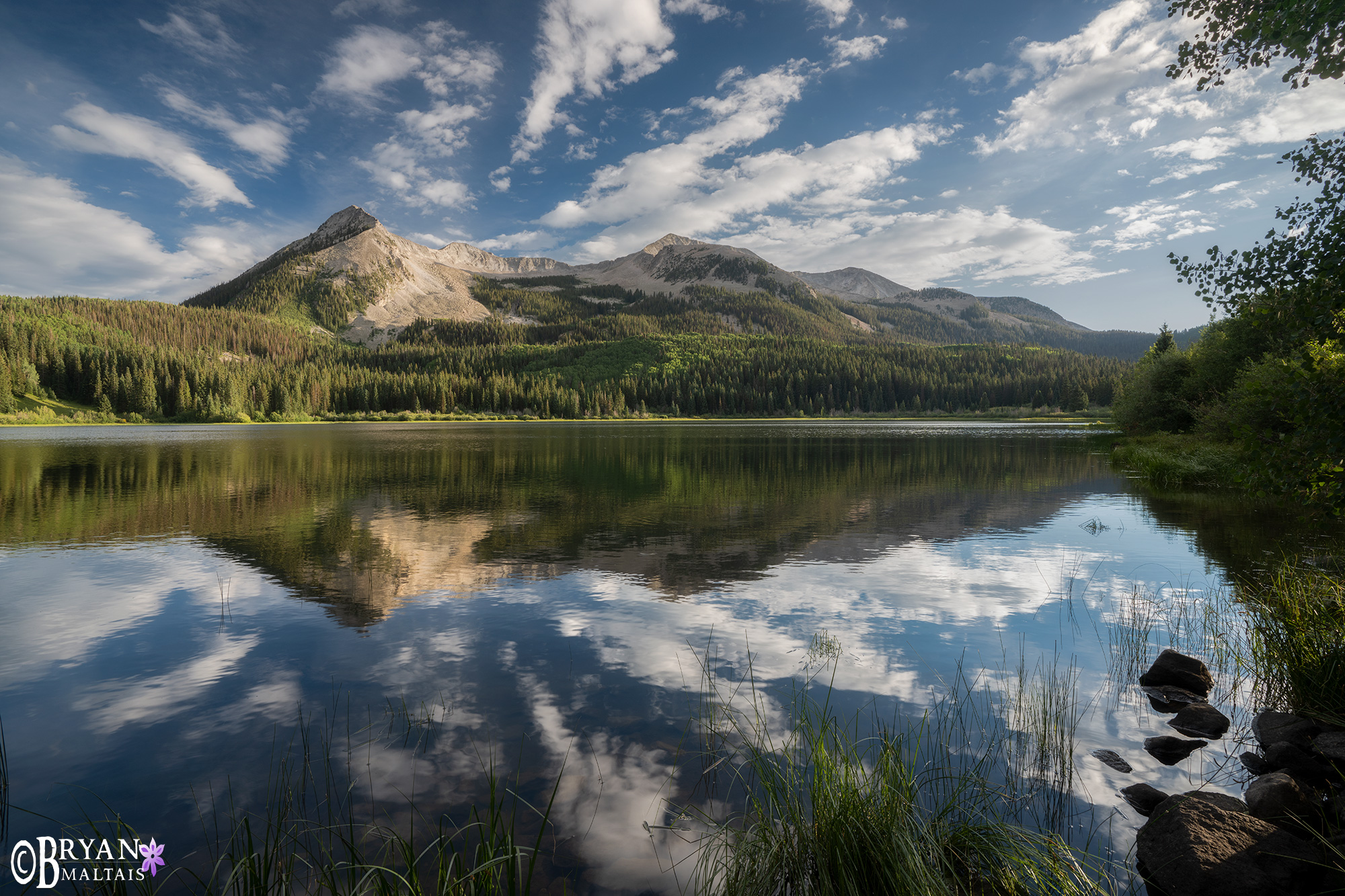 Crested Butte Wildflower Photo Workshop lost lake