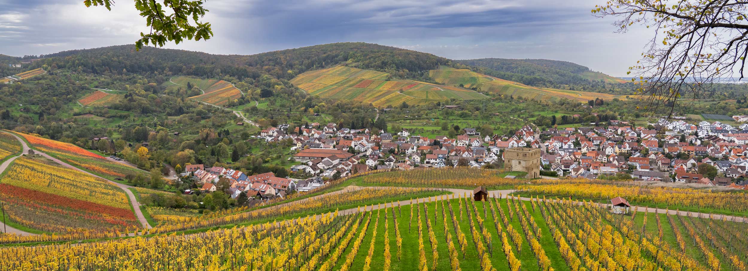 Germany Part II-The Black Forest, Vineyards and Ancient Villages