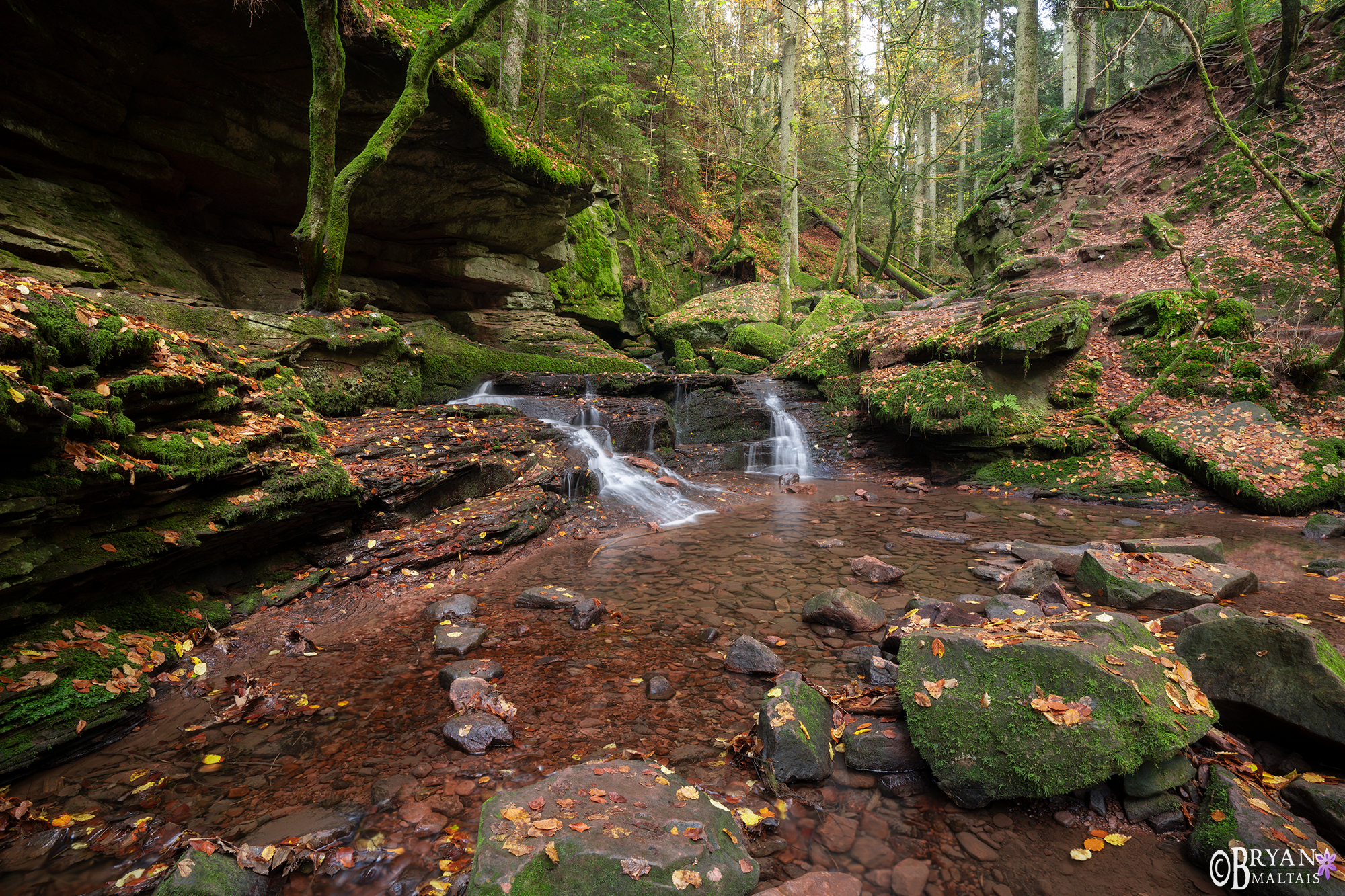 black forest schwarzwald tal