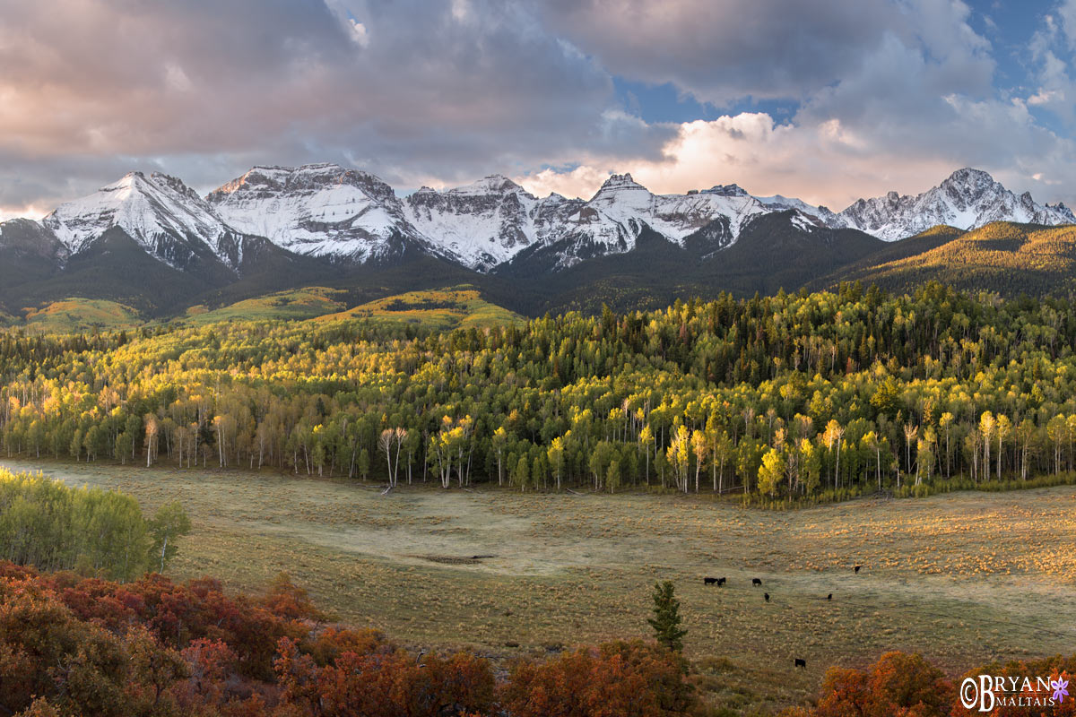 (c) Wildernessshots.com