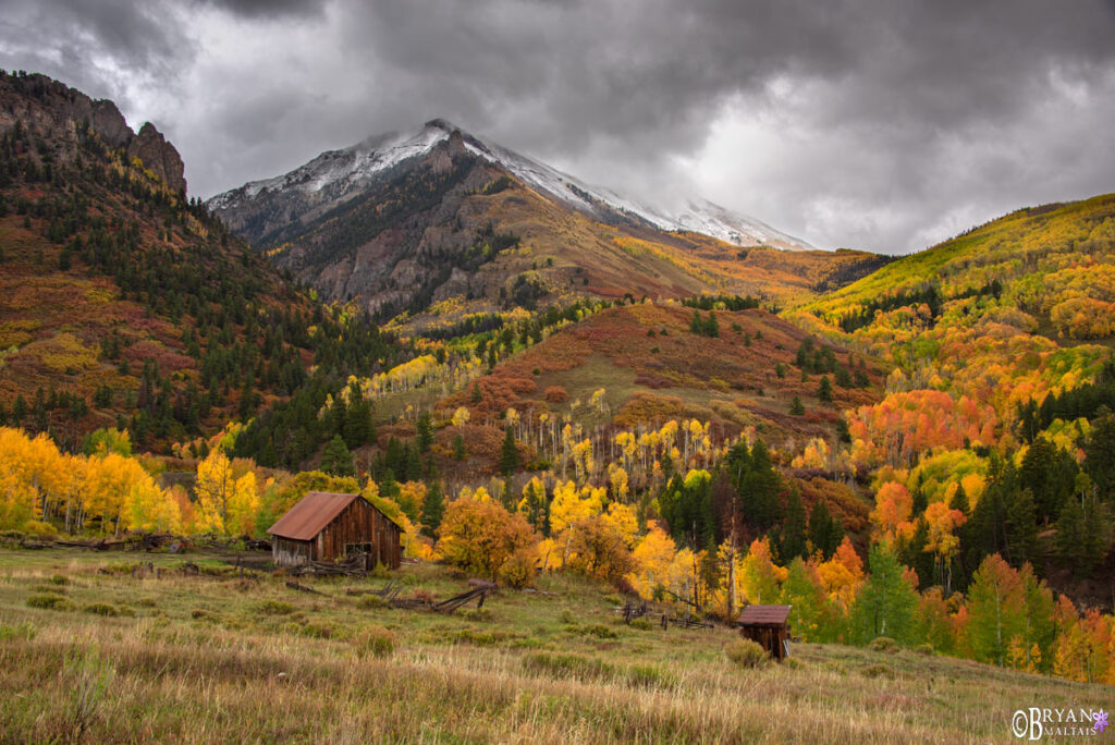 colorado fall colors photo workshops