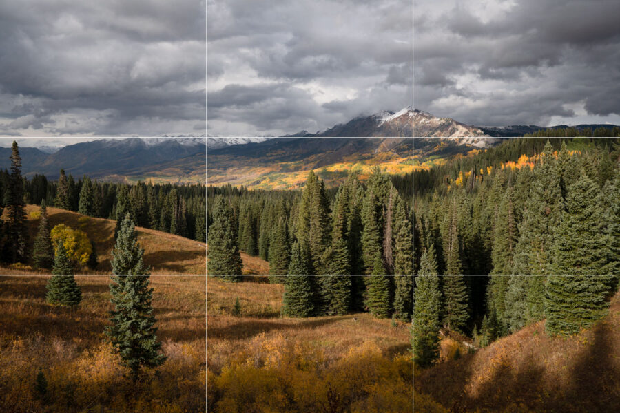 How to use the Rule of Thirds in Nature Photography