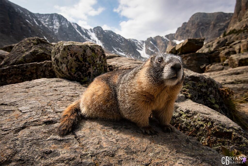 rmnp colorado photography workshop