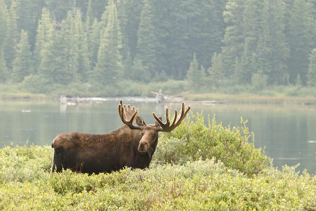 rocky mountain national park photography workshop