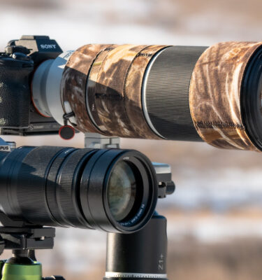 which camera should i buy