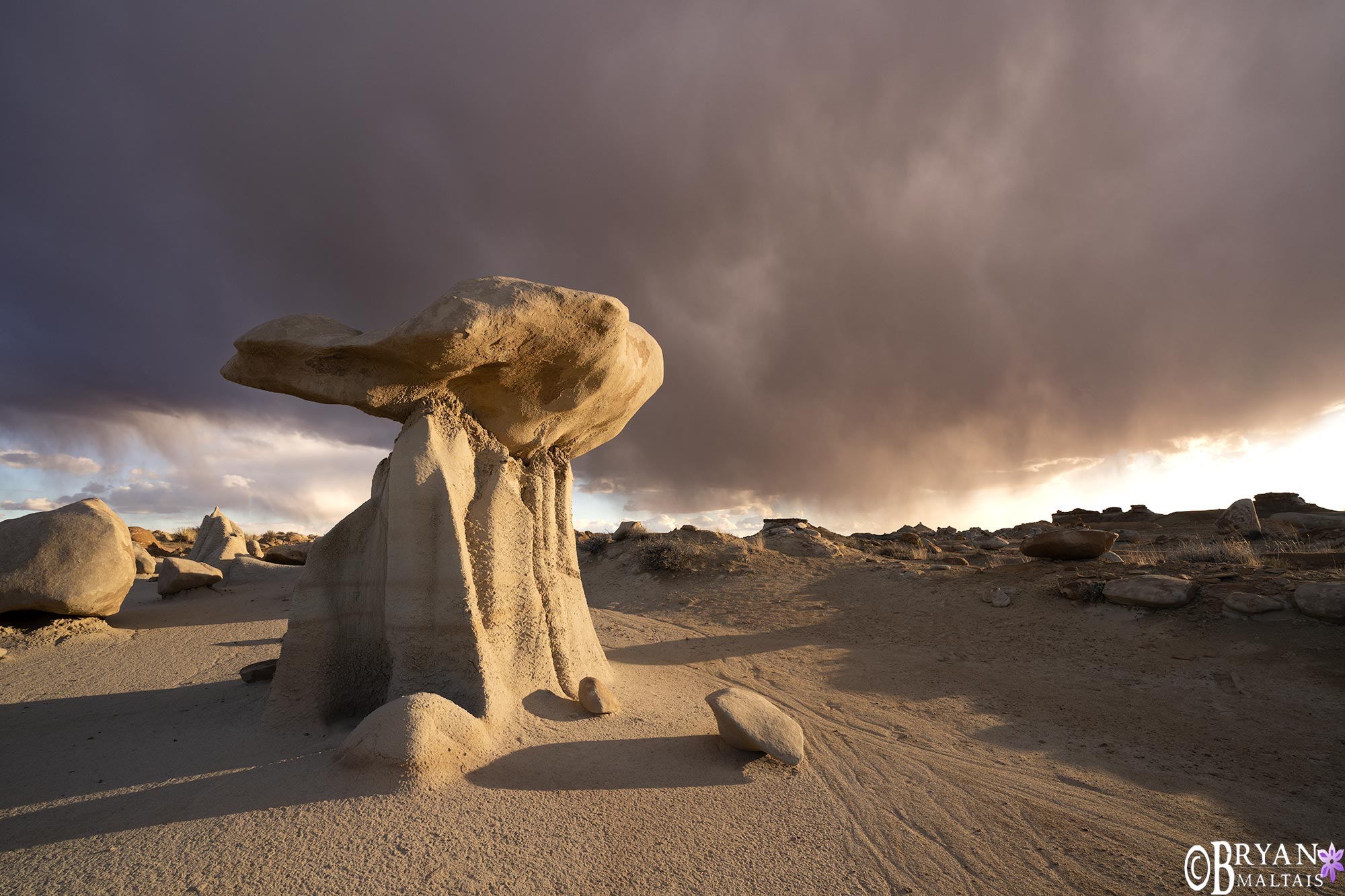 bisti badlands hoodoo prints