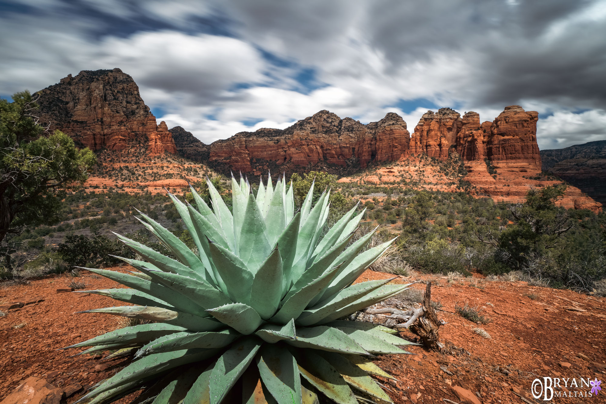 Sedona Agave Sugarloaf Mountain Photo Print Long Exposure