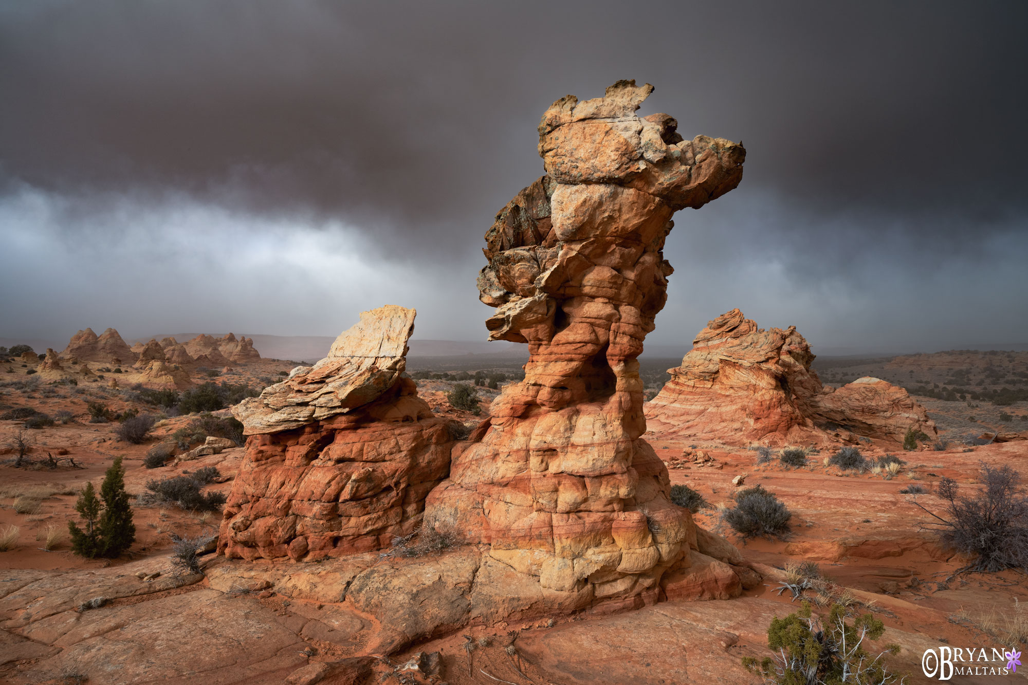 medusa south coyote buttes az landscape photo ptints