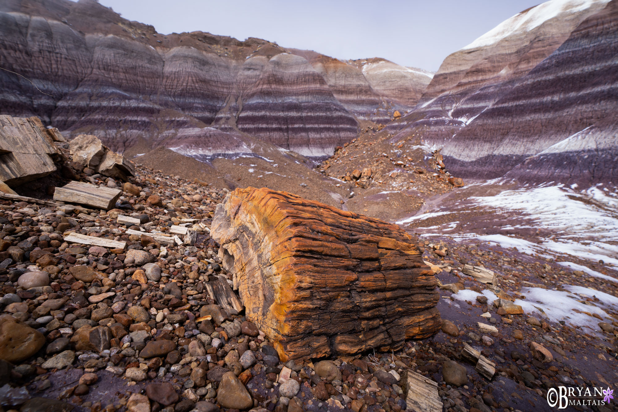 petrified forest national park photo print 5