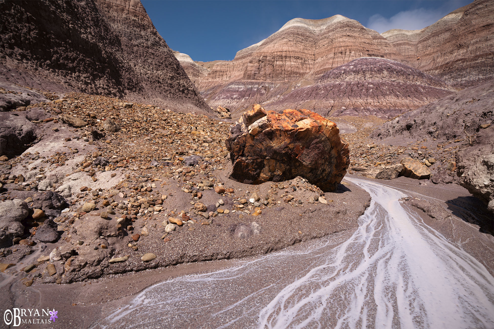 petrified forest national park photo print