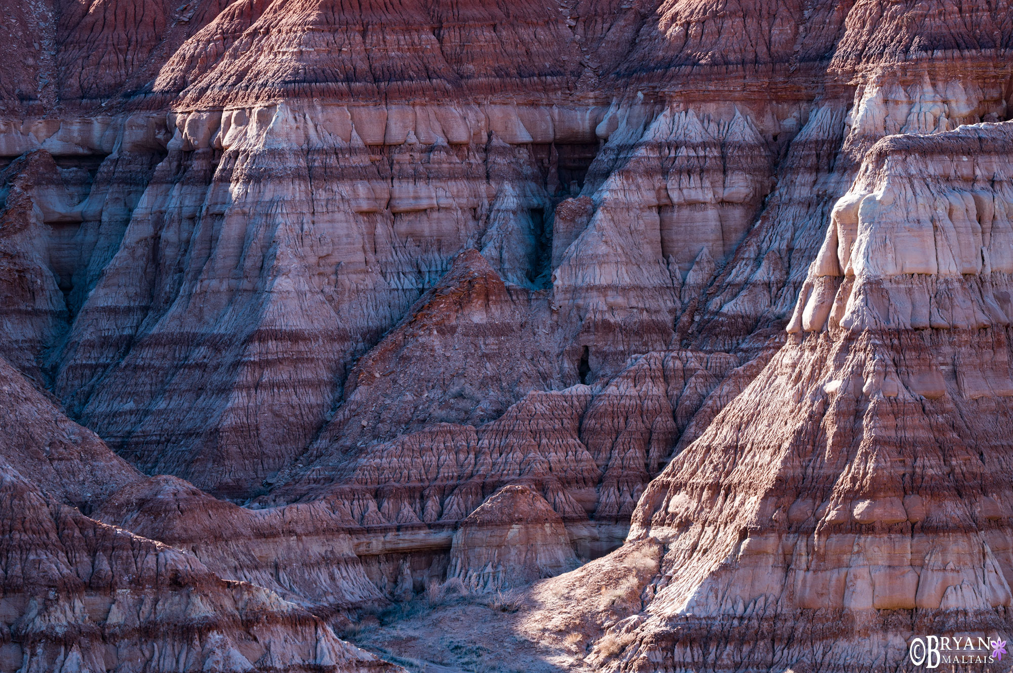 toadstools utah painted cliffs photo print