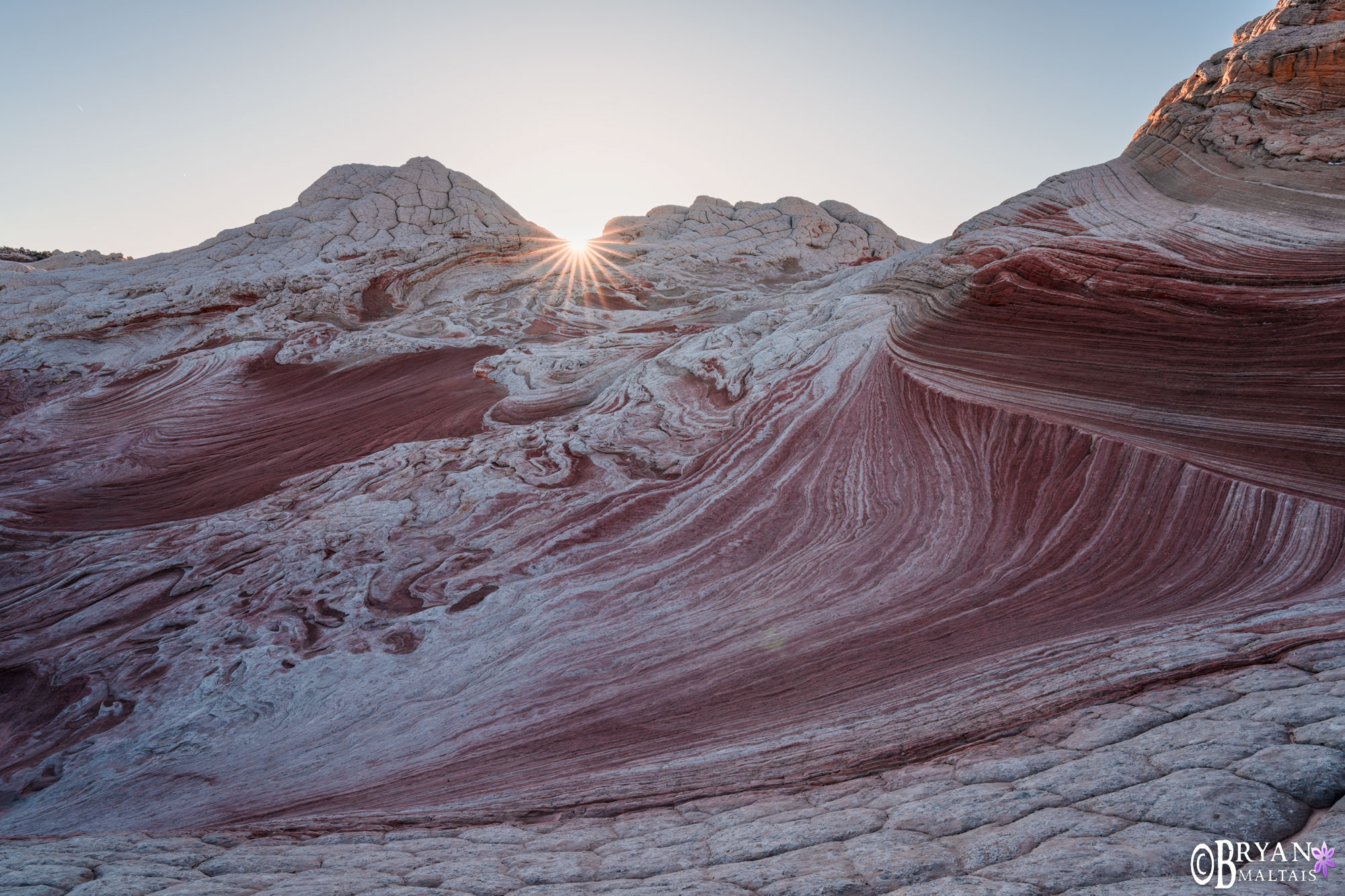 white pocket muscle striations arizona photo prints