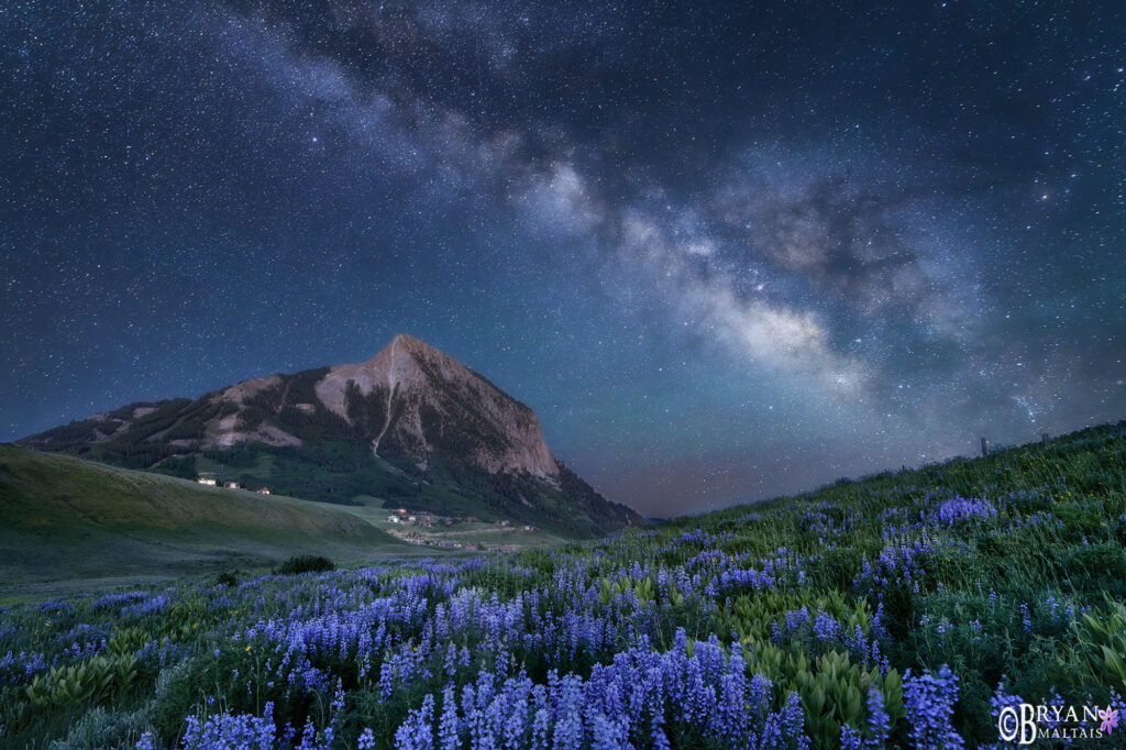 Crested Butte Lupine Milky Way Photo Print