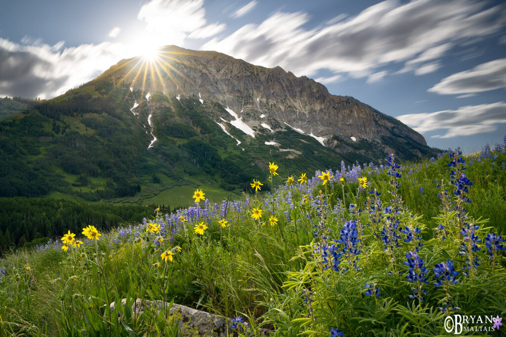 gothic mountain wildflowers creasted butte photo prints