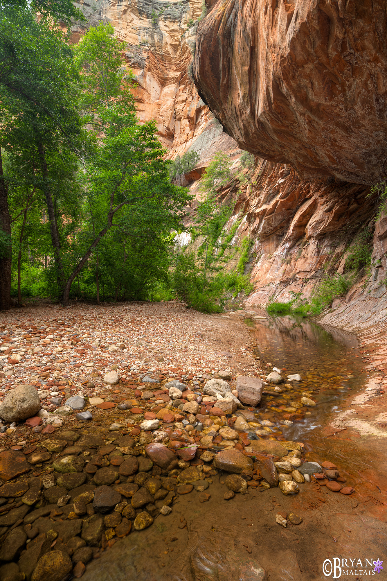 Oak Creek Canyon Subway Sedona Photo Print