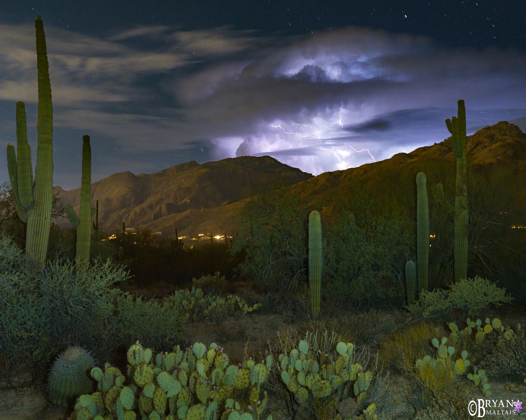 sabino canyon tucson monsoon lightning photo print