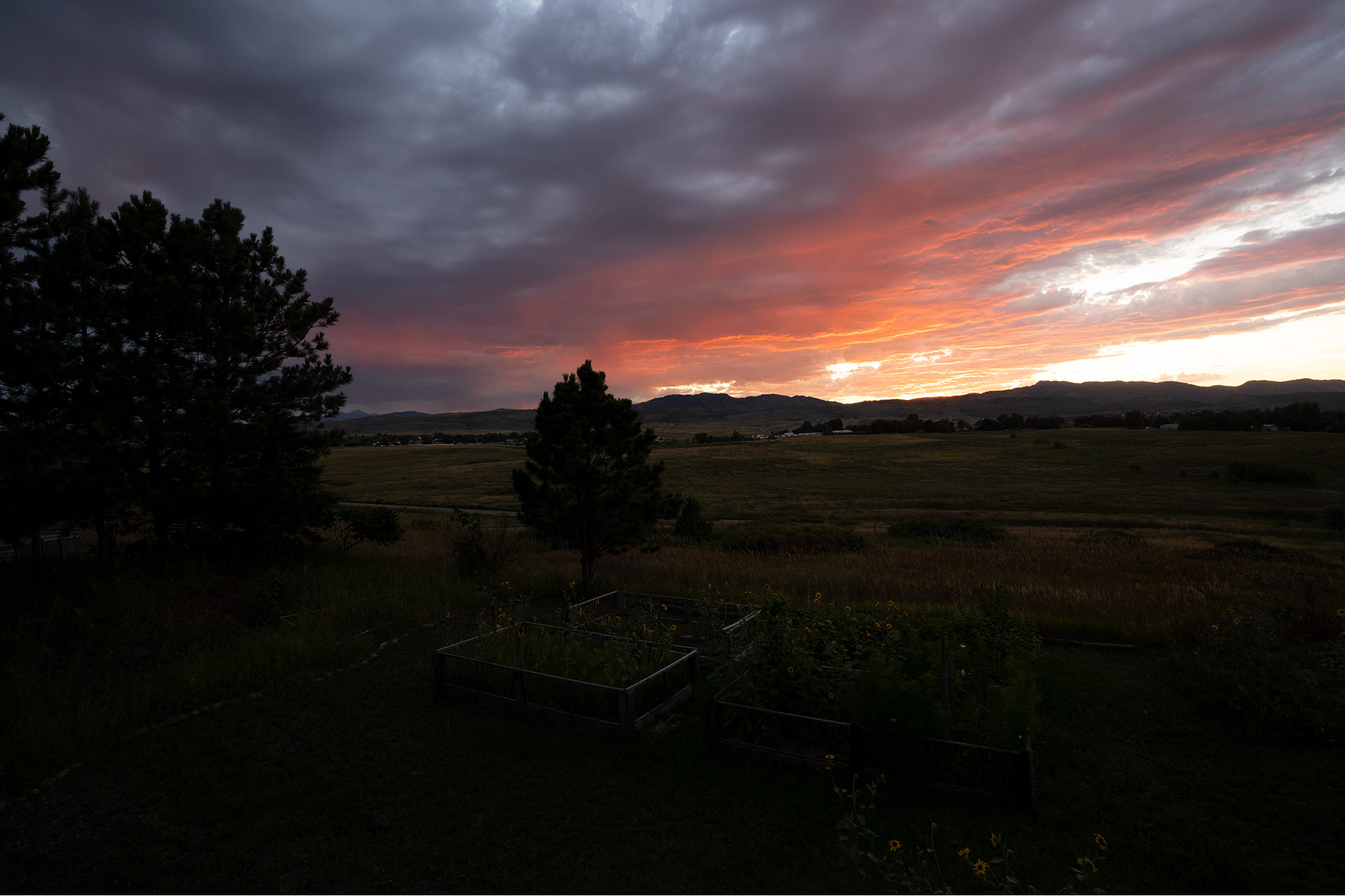 backyard red sunset 8-19-23 dark