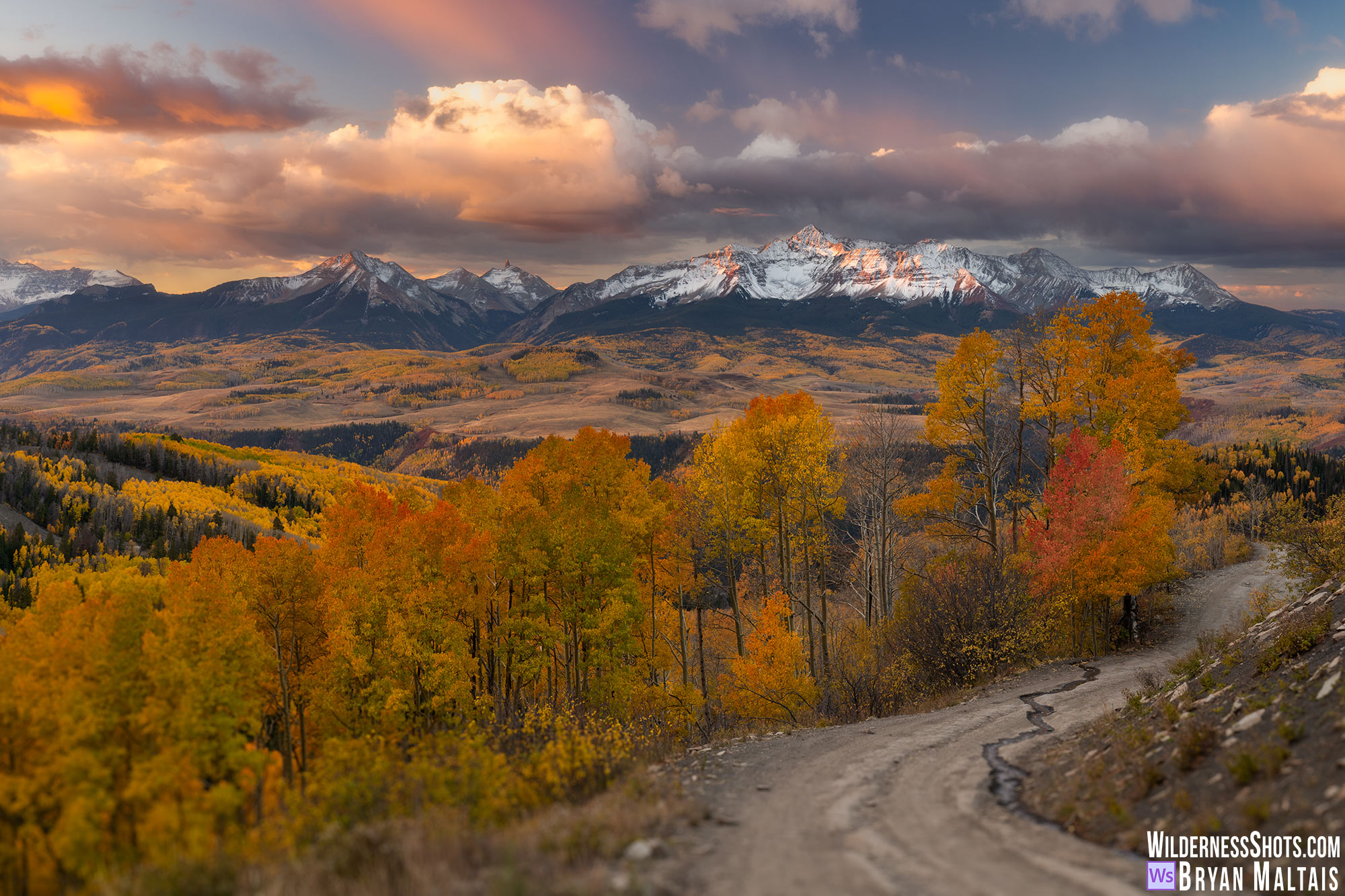 last dollar road wilson peak fall colors telluride photo print