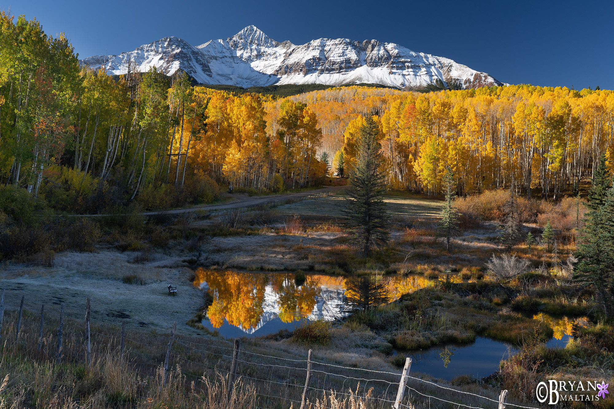 wilson peak fall colors pond reflection telluride