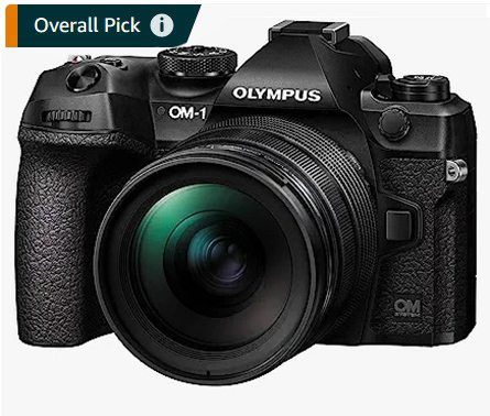 best micro four thirds cameras for landscape photography