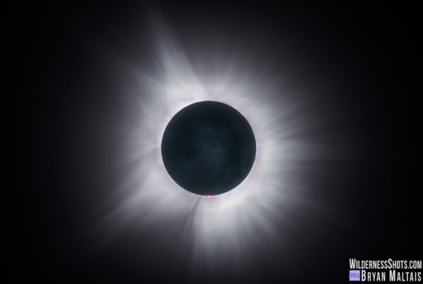 2024 Total Solar Eclipse Corona Photo Print