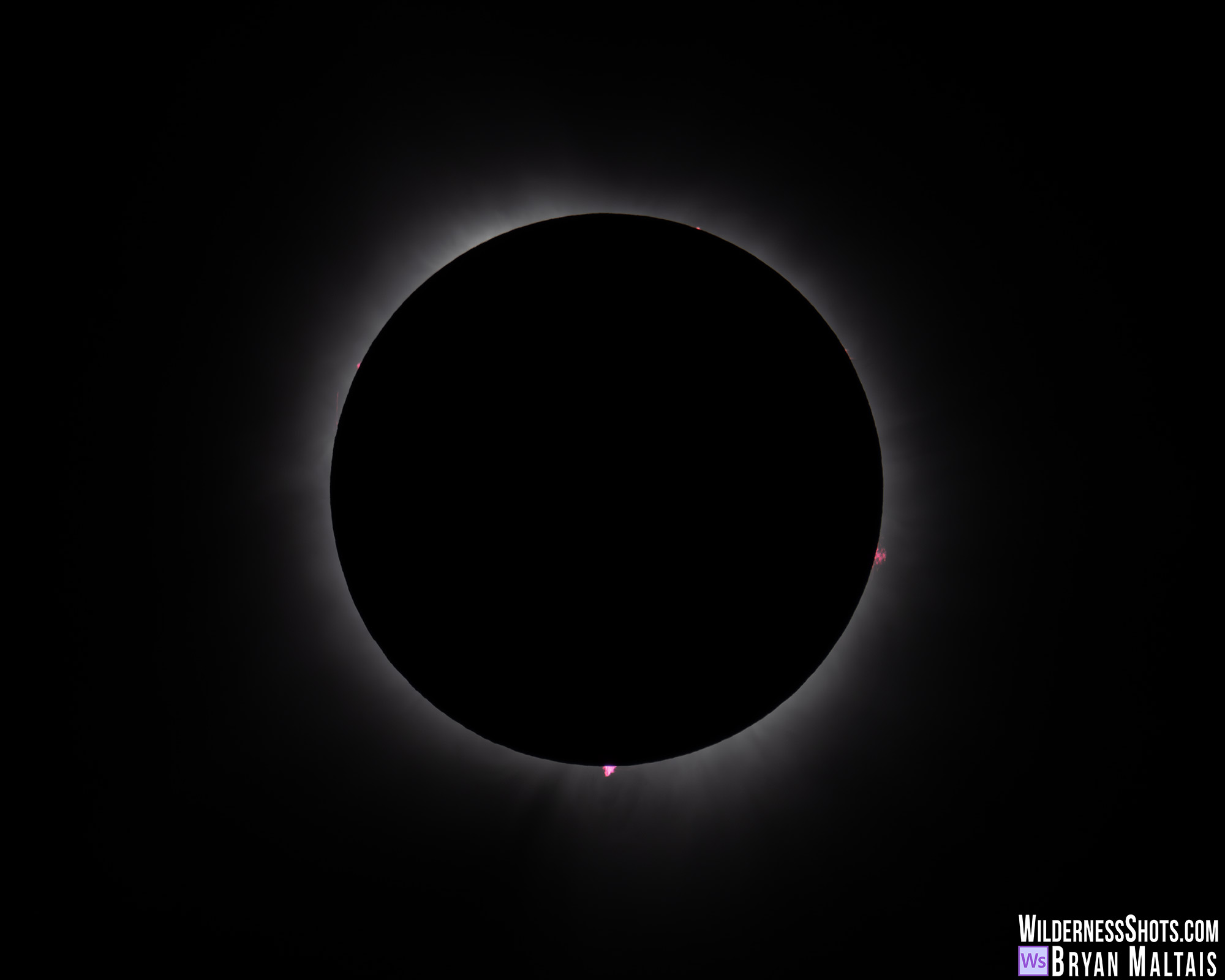 2024 total solar eclipse solar prominence
