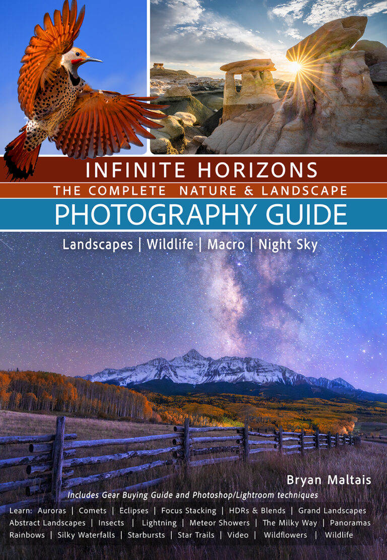 How to shoot Super Macro Photography: Mastering High Magnification ...
