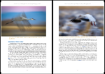 Infinite Horizons the Complete Nature and Landscape Photography Guide Book motion blur