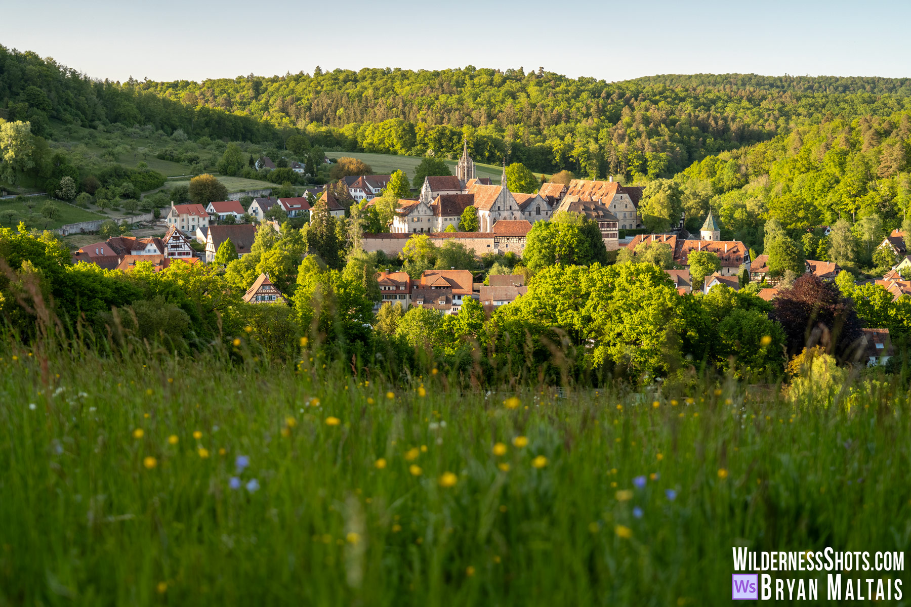 Bebenhausen from the Wildflower Meadow