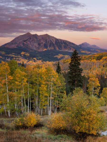 East Beckwith Fall Colors Kebler Pass Crested Butte Colorado