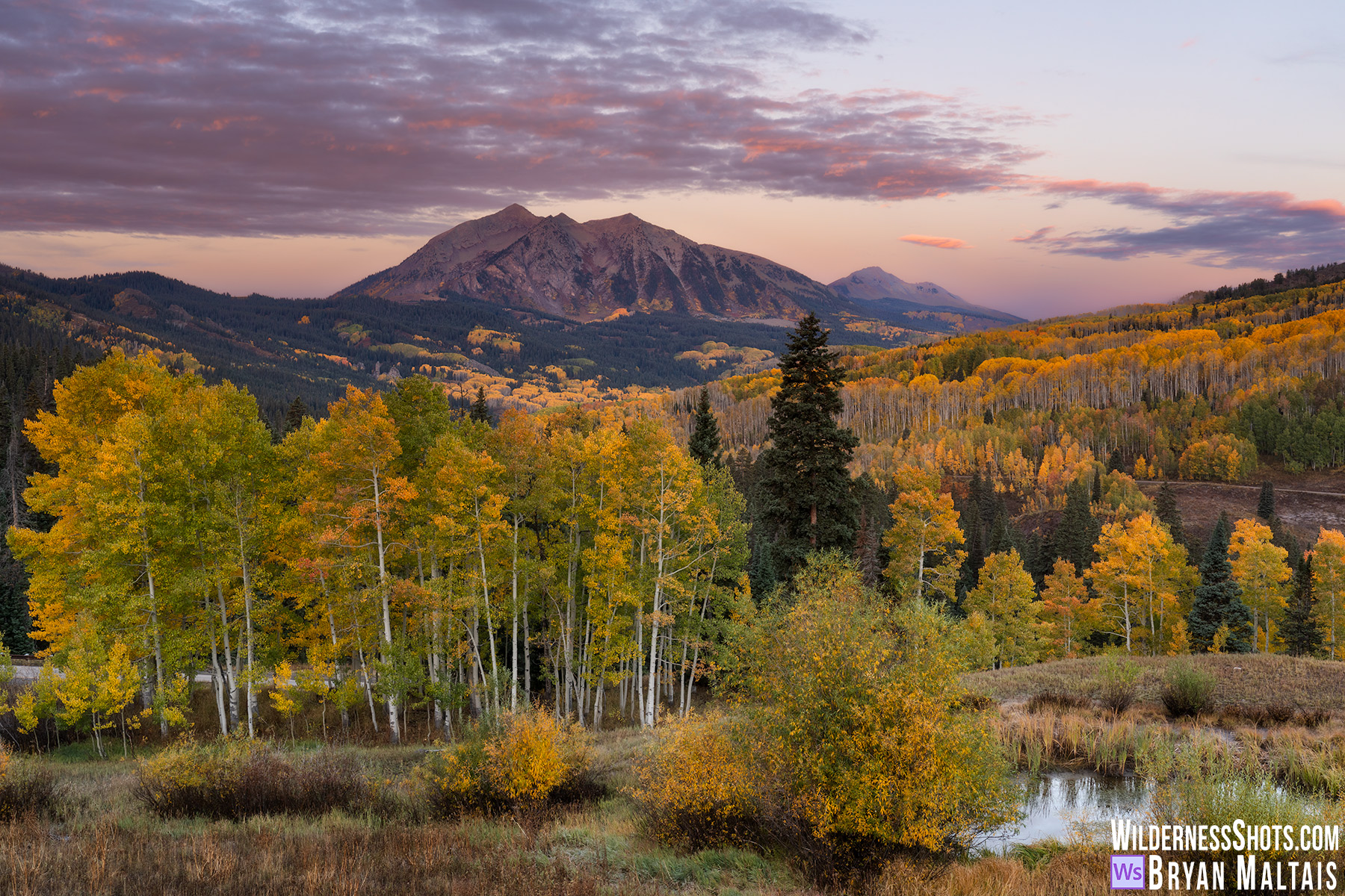East Beckwith Fall Colors Kebler Pass Crested Butte Colorado