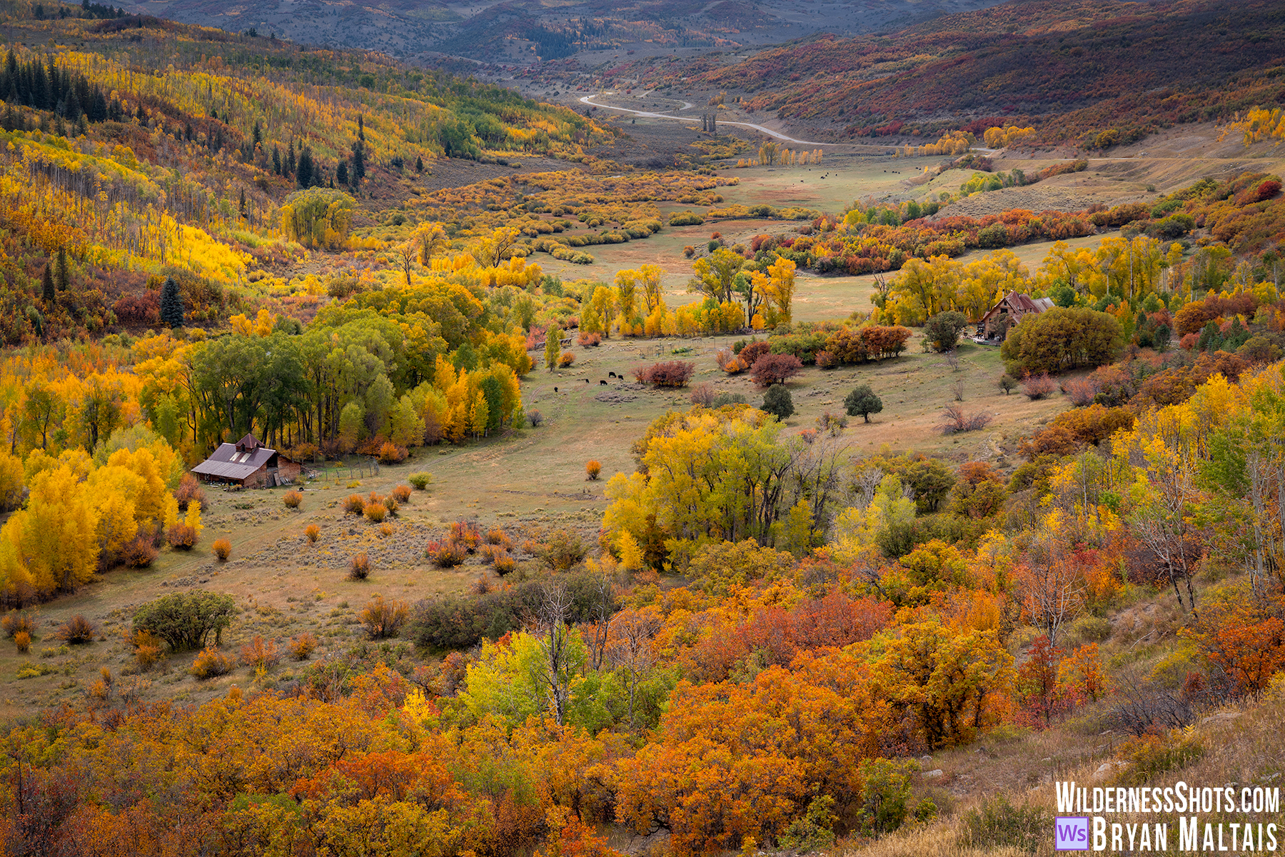 Fall Colors Valley Colorado