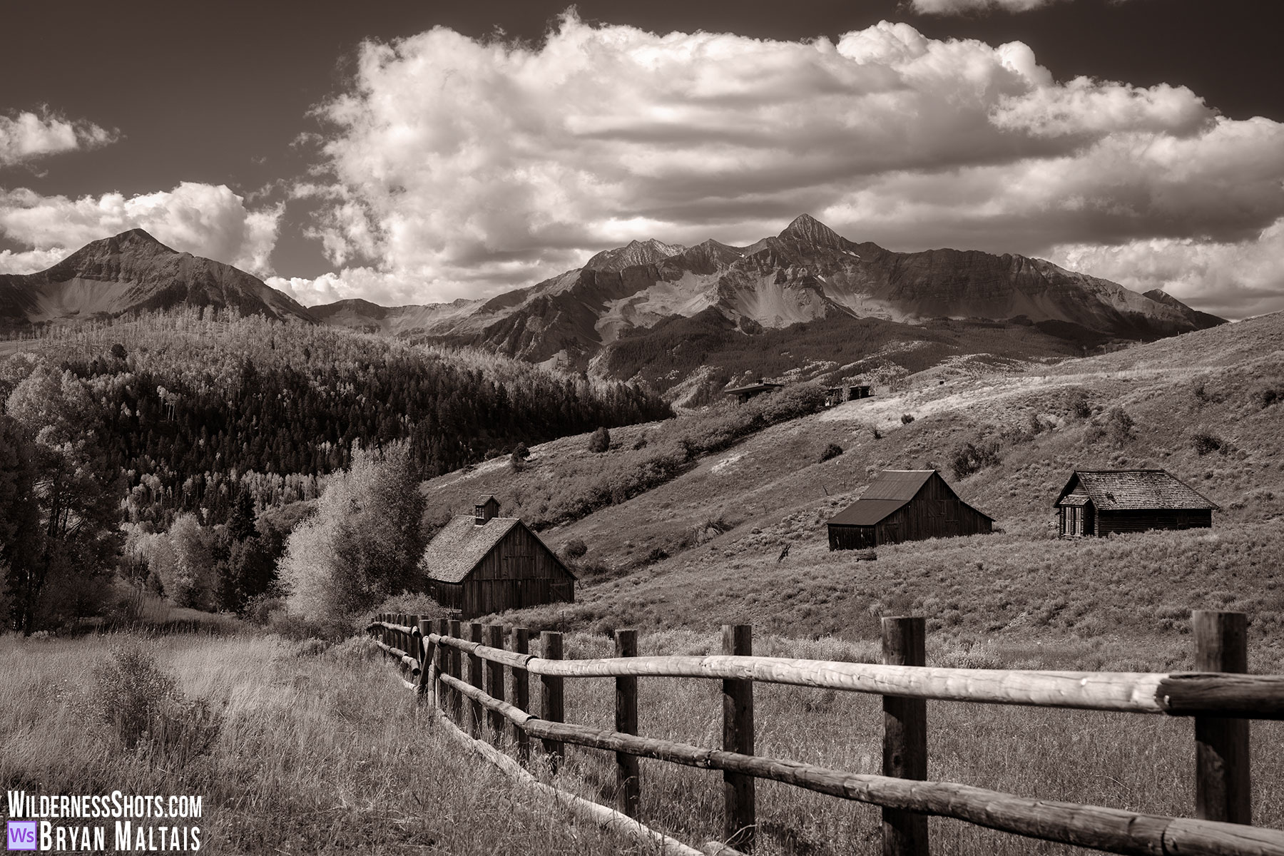 Last-Dollar-Road-Fall-Colors-Wilson-Ranch-Telluride-Colorado-Monochrome2