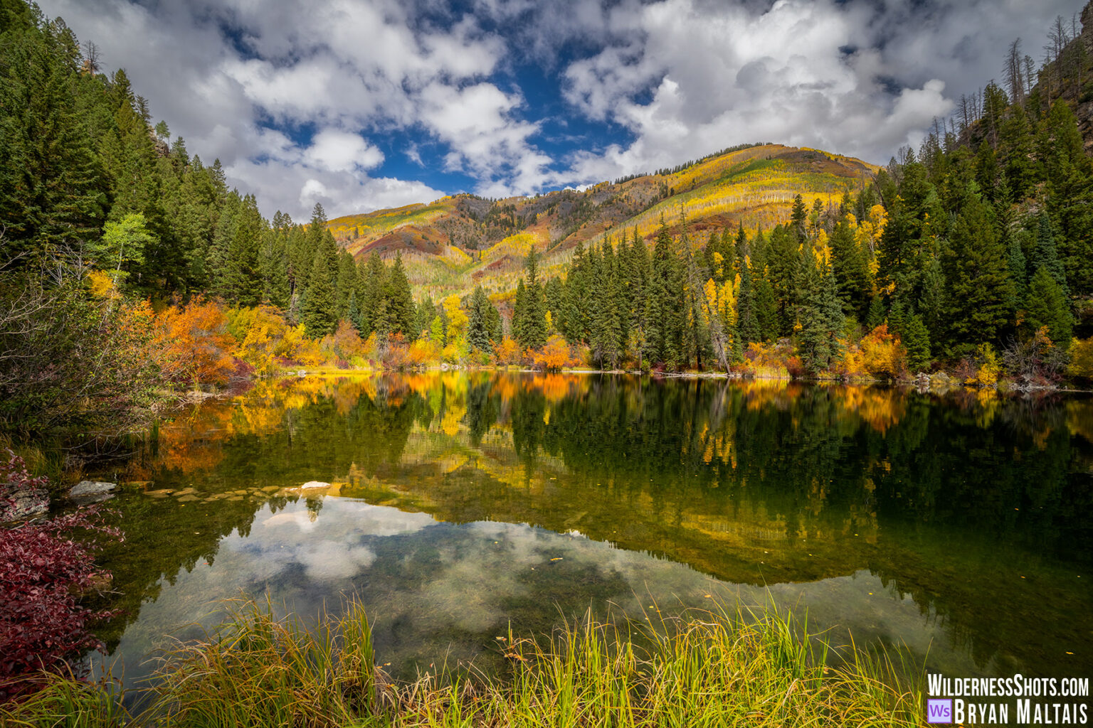 Lizard Lake Fall Colors Photo Print - Wildernessshots Photography