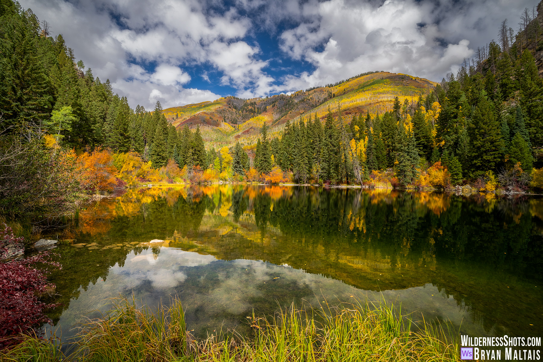 Lizard Lake Colorado Fall Colors