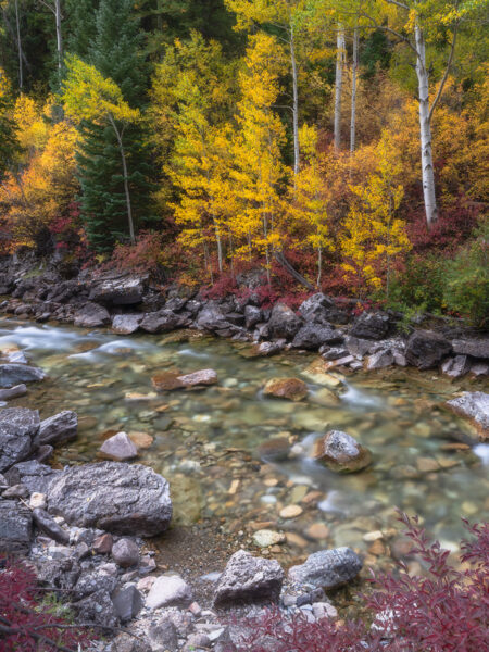 Mountain Stream Colorado Fall Colors