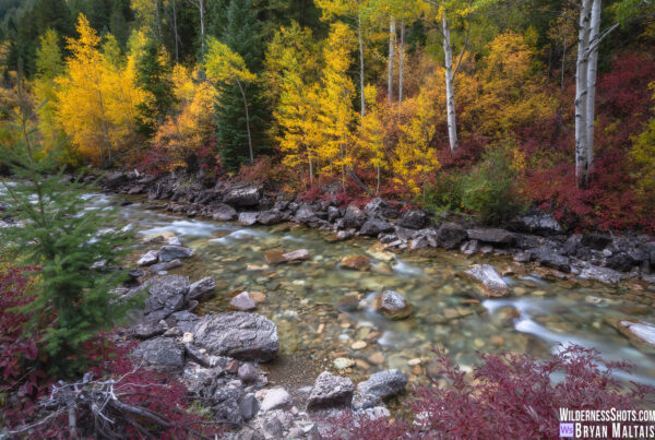 Mountain Stream Colorado Fall Colors
