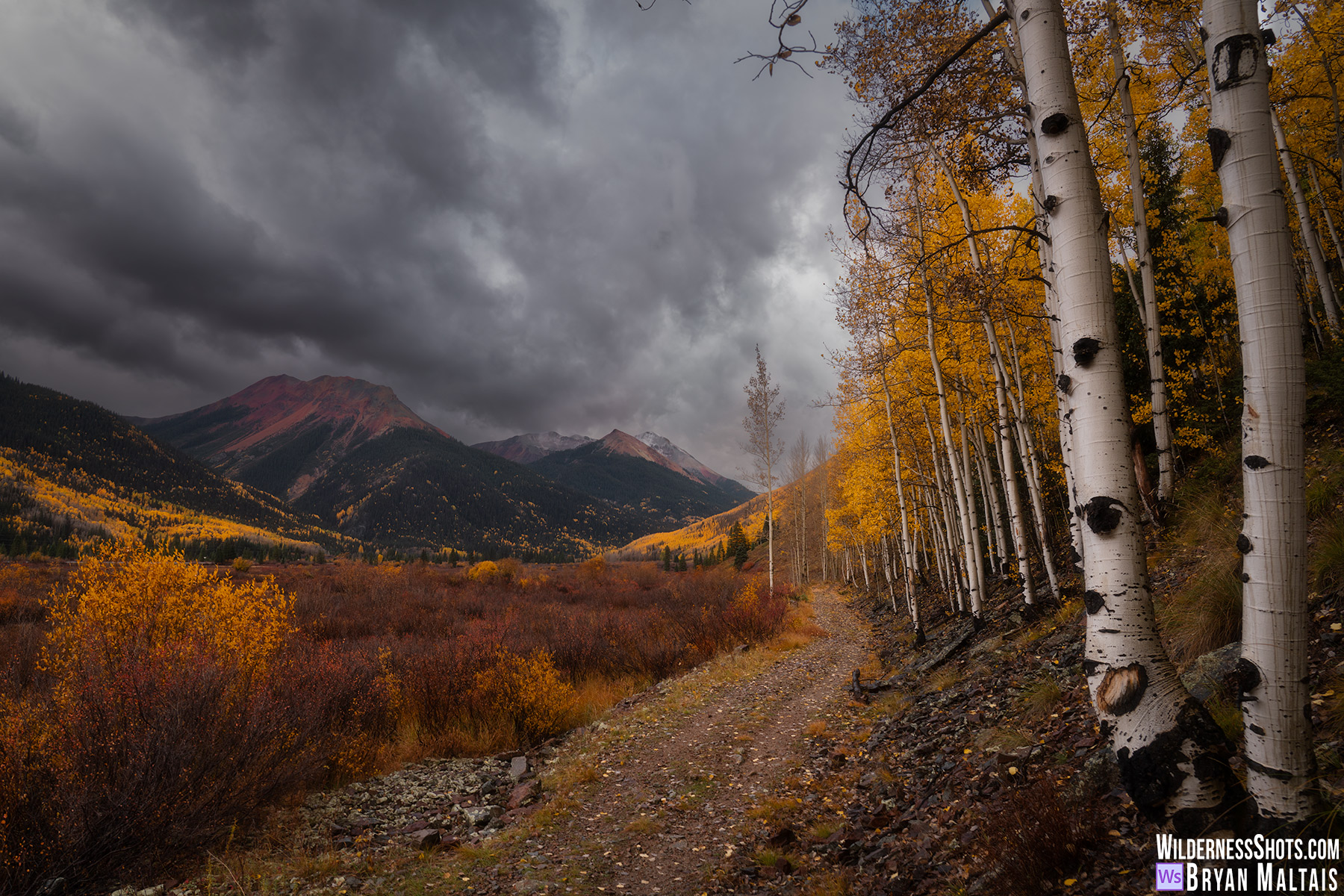 Red Mountain Moody Fall Colors Ouray Colorado