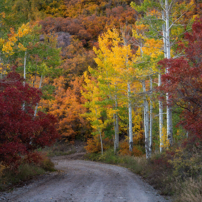 red orange yellow green colorado fall colors