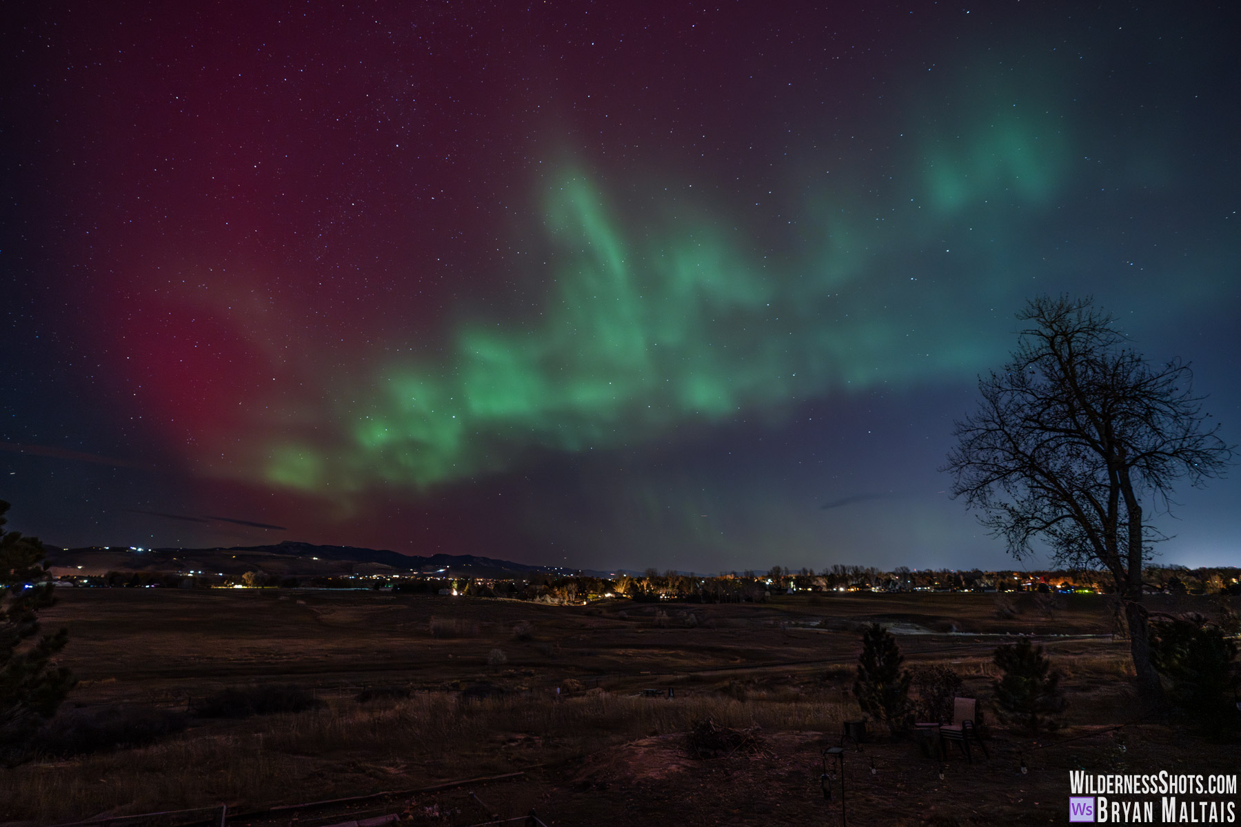 Aurora-Borealis-Green-Ribbons-11-11-25-Fort-Collins