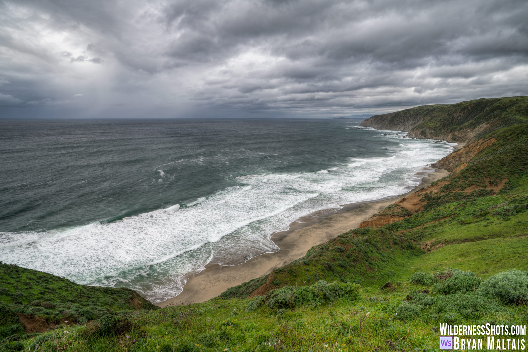 Point Reyes National Seashore Tomales Point