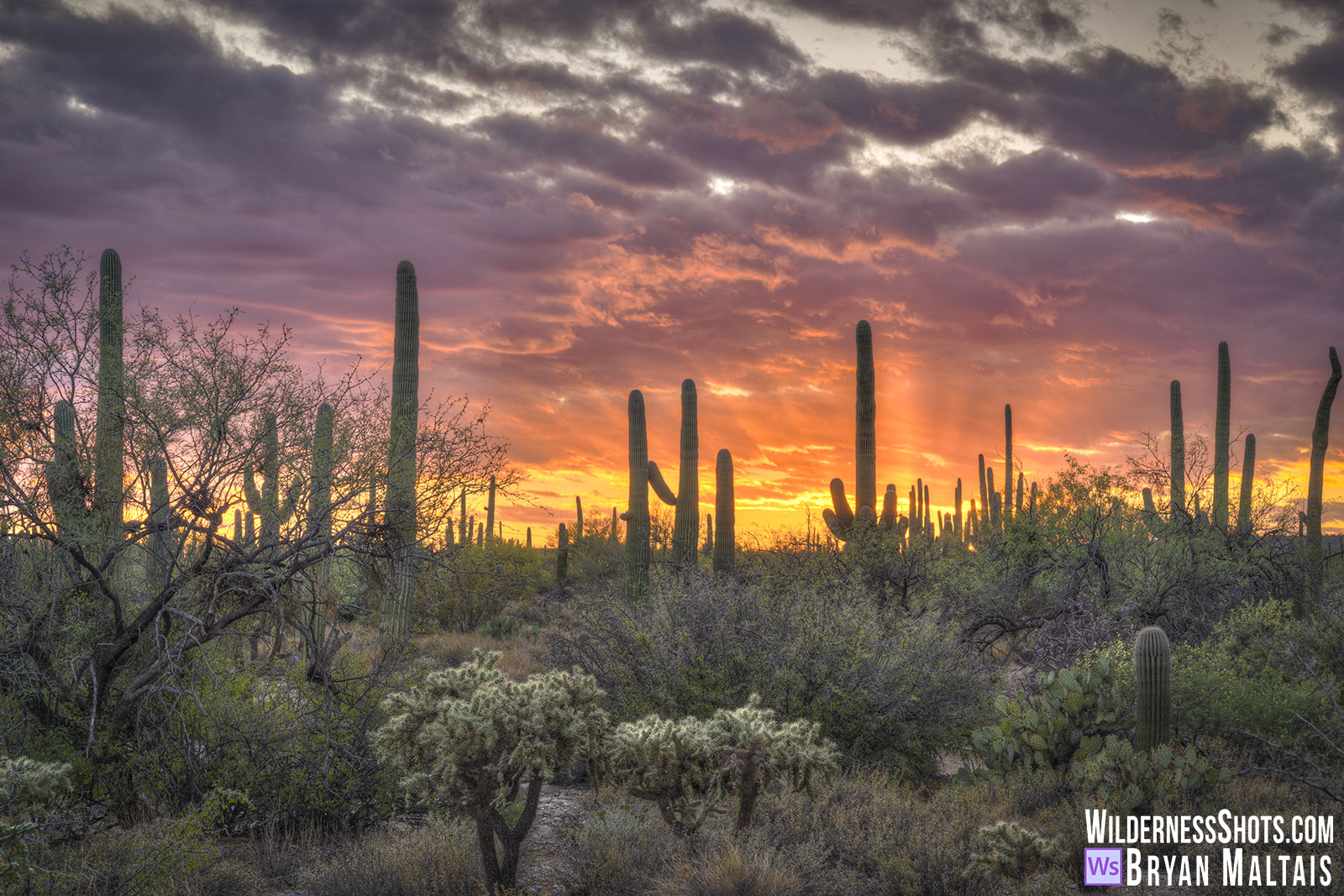 Sabino-Canyon-Background-Sunset