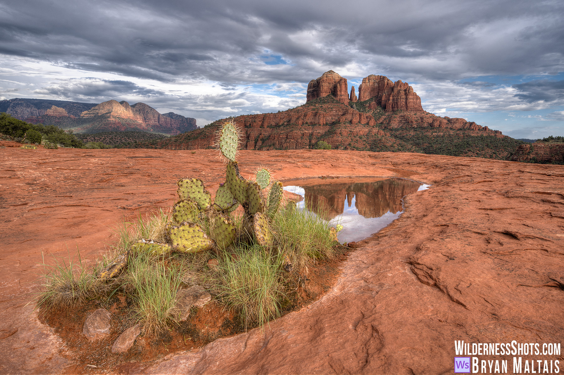 Sedona-Reflection-Cathedral-Rock-Pools